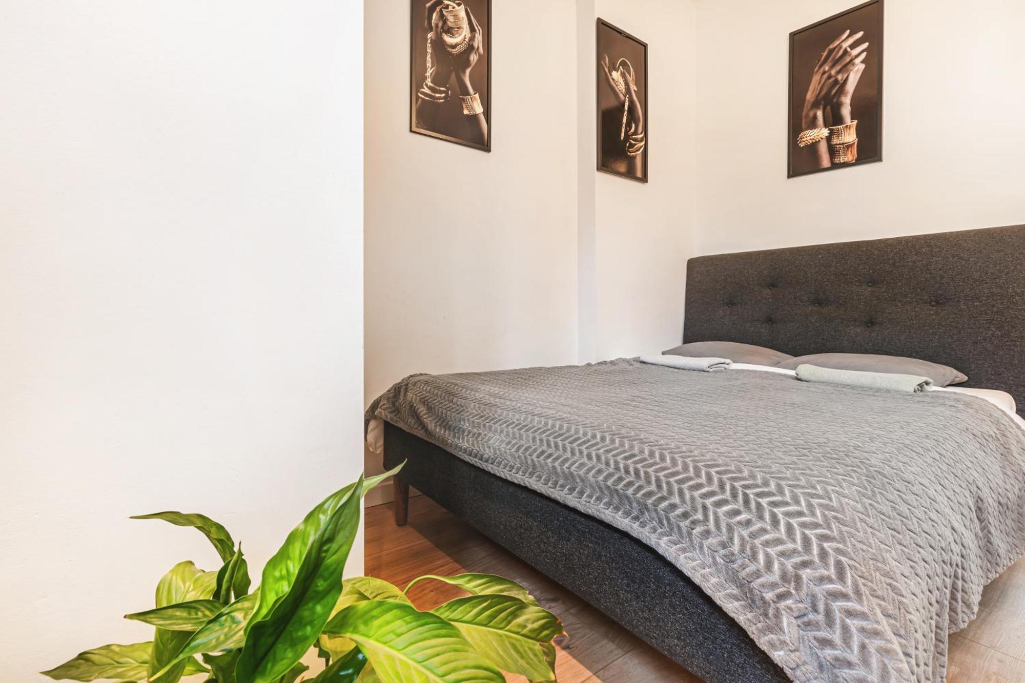 Muzyczna Oaza Przy Rynku Apartment Wroclaw Bagian luar foto